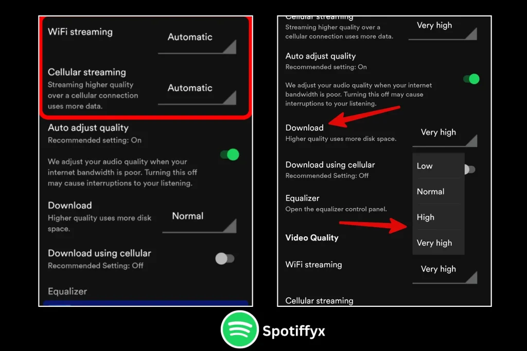 SpotifyX APK Feature High Quality Audio